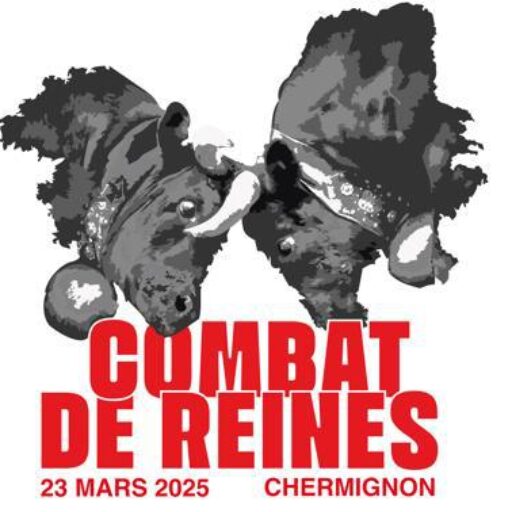 Combat de Reines — Chermignon 2025